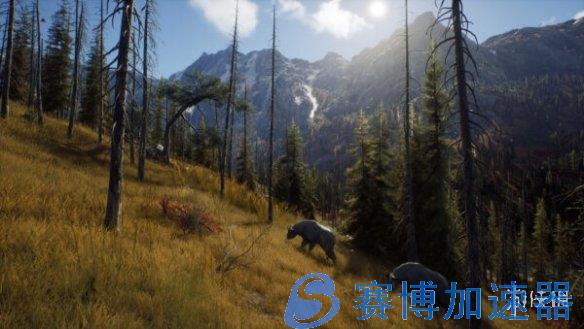 《猎人之路》PC版新更新上线 优化玩家的体验！
